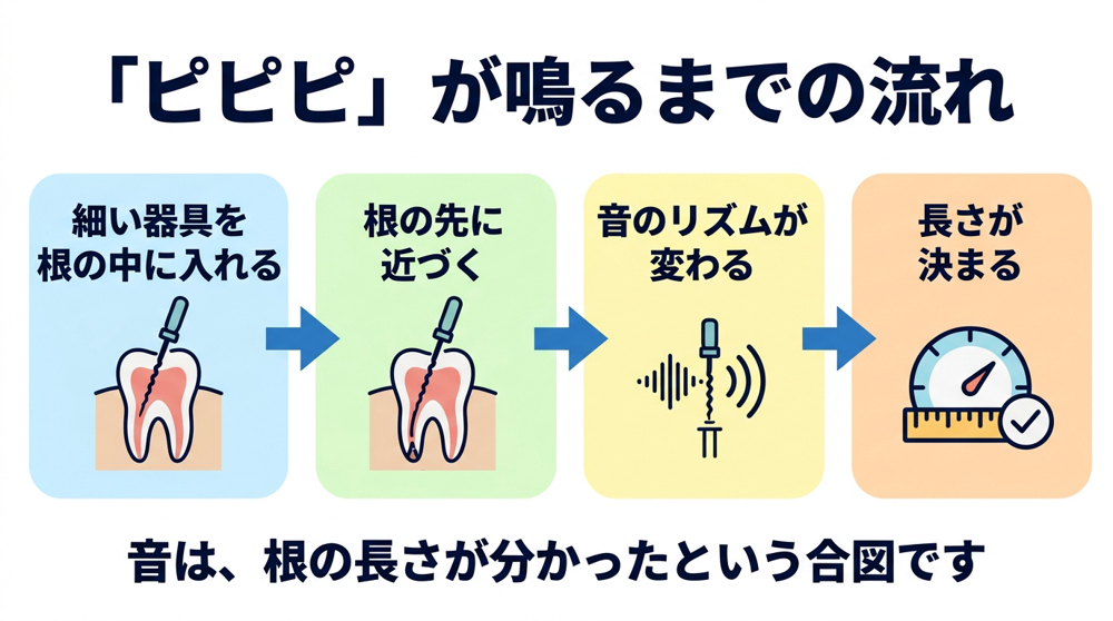 「ピピピ」の正体は、歯の根の長さを測る装置の音