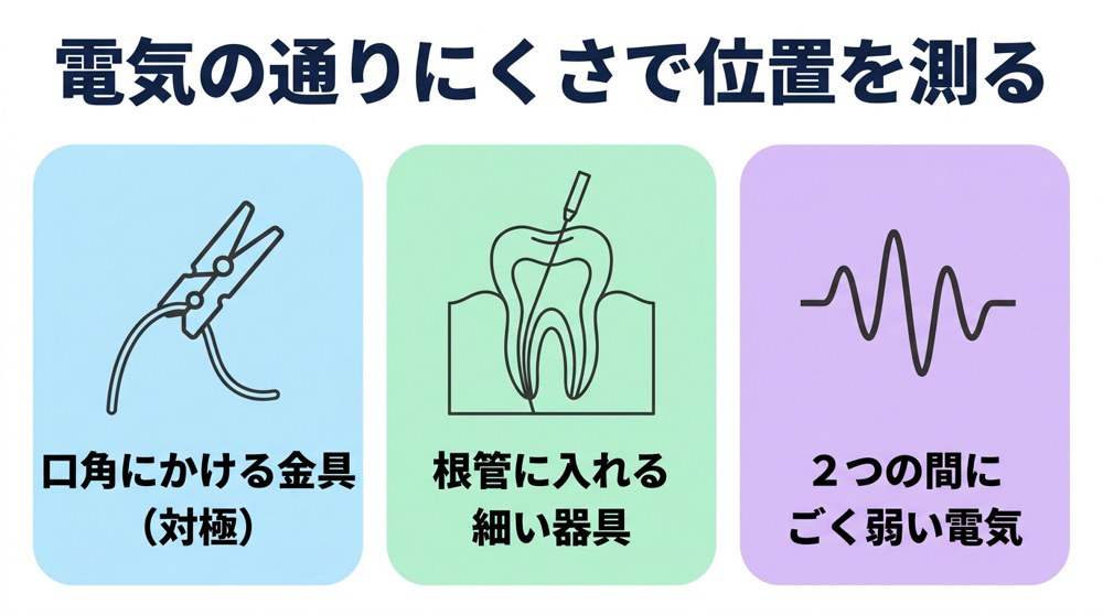 なぜ音が鳴るのか|歯の中の「電気の通りにくさ」を測っている