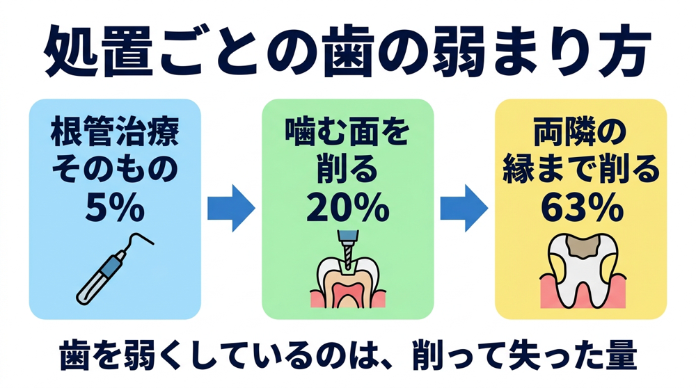 「神経を抜くと脆くなる」の本当のところ