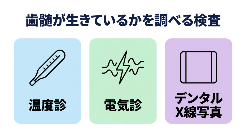 歯科医院では、生きているか死んでいるかをどう調べるのか