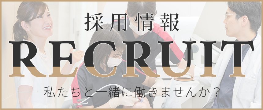 採用情報
